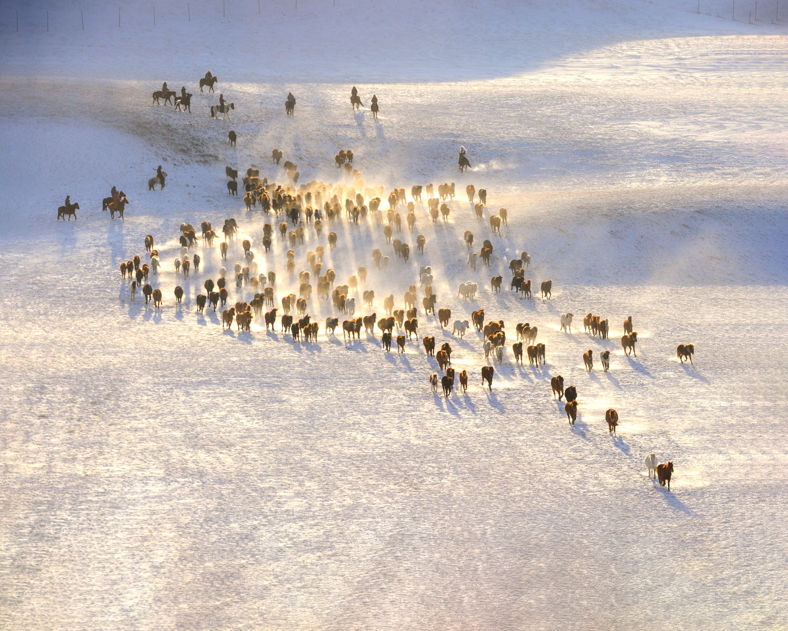 You are currently viewing 乌兰布统雪地越野穿越招募