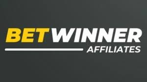 Betwinner The Comprehensive Guide to Your Betting Experience