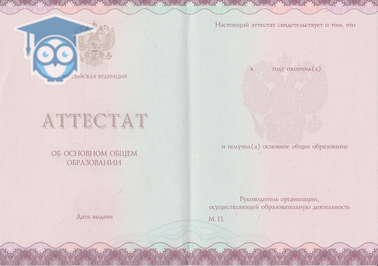 Как купить диплом цена, советы и особенности